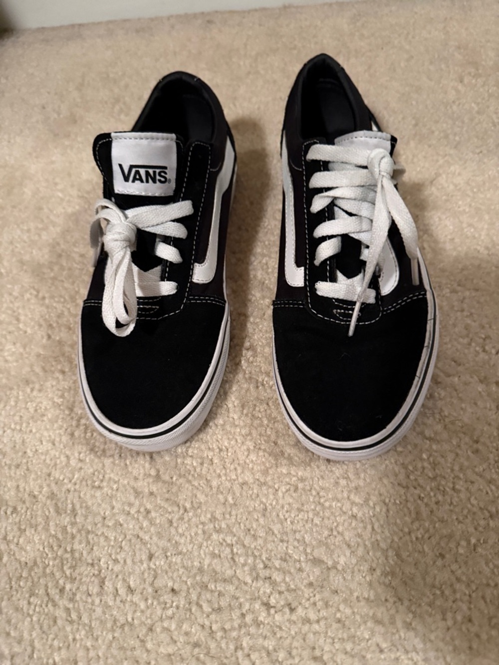 Vans Black and White Low-Top Skate Sneakers